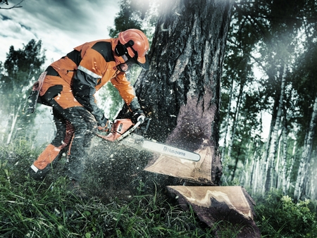 Husqvarna motorsav og skovudstyr – CN Maskinfabrik